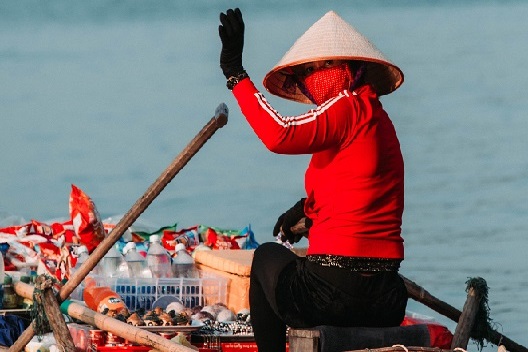 שיווק בוייטנאם