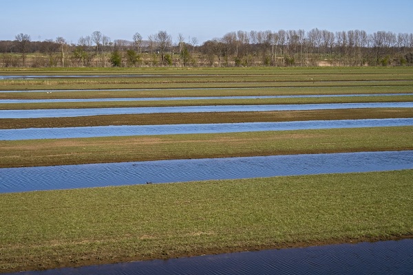 הולנד שדות מוצפים