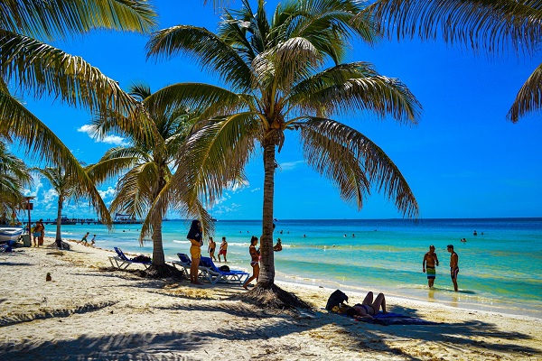 קובה חוף תיירות ים עצי דקל